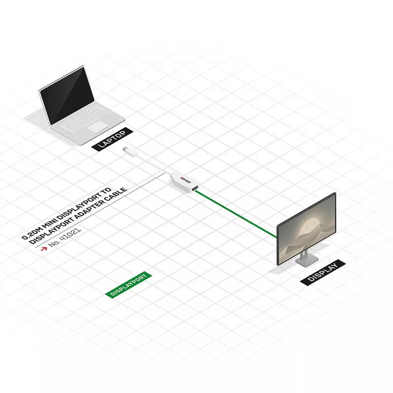 Lindy 0.20 m Mini DisplayPort į DisplayPort adapterio laidas