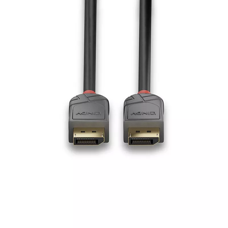DisplayPort laidas Lindy 2 m DisplayPort 1.4 laidas Anthra Line