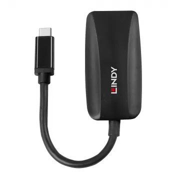 USB Type C į DisplayPort keitiklis Lindy 43337