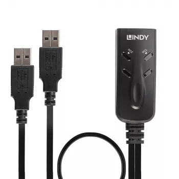 Lindy 2 prievadų USB klaviatūros ir pelės perjungiklis KM