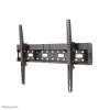 Neomounts LFD-W2640MP TV laikiklis sieninis 37-75 colių - pakreipiamas