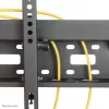 Neomounts LFD-W2640MP TV laikiklis sieninis 37-75 colių - pakreipiamas