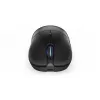 Pelė ENDORFY GEM Plus Wireless, RF Wireless + USB Type-C