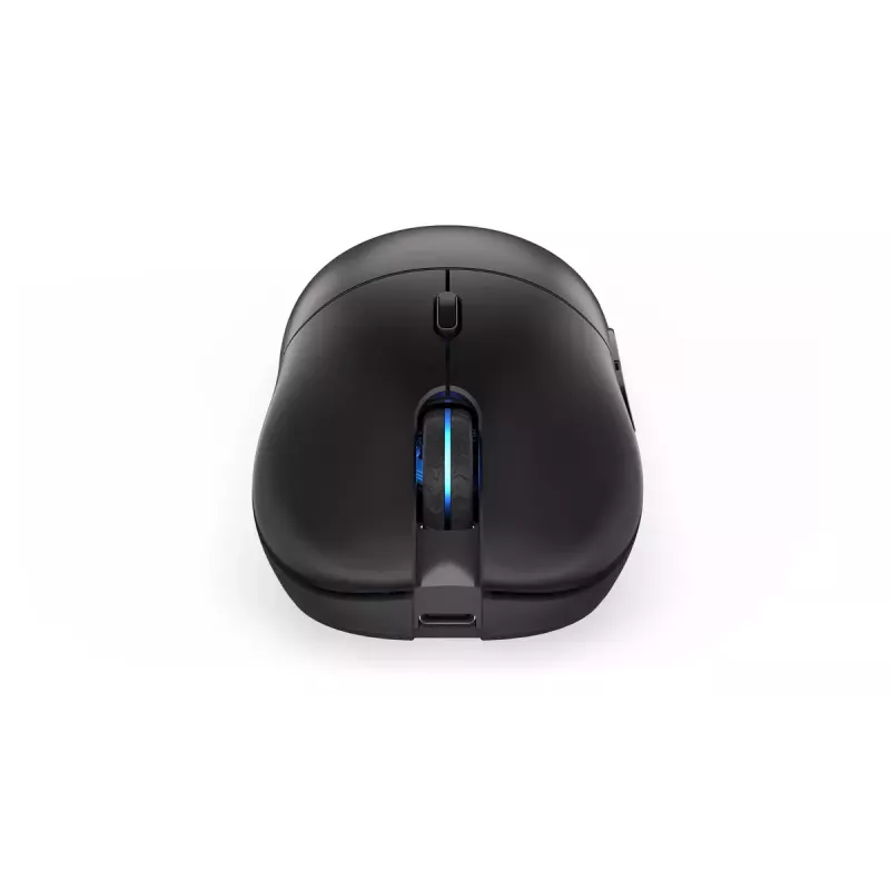Pelė ENDORFY GEM Plus Wireless, RF Wireless + USB Type-C