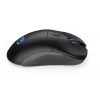 Pelė ENDORFY GEM Plus Wireless, RF Wireless + USB Type-C