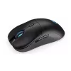 Pelė ENDORFY GEM Plus Wireless, RF Wireless + USB Type-C