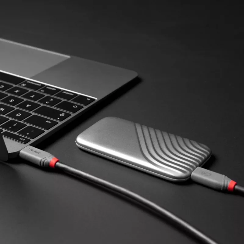 Lindy 1,5 m USB 4 240 W Type C laidas, Anthra Line