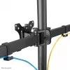 Neomounts monitorio stovas FPMA-D550DD3BLACK laisvai pastatomas 6 kg 13-27 col.
