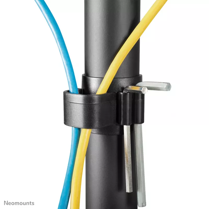 Neomounts monitorio stovas FPMA-D550DD3BLACK laisvai pastatomas 6 kg 13-27 col.
