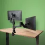 R-Go Tools monitorinis laikiklis R-Go Caparo Dual, dviems monitoriams, reguliuojamas dujine spyruokle, 3-9 kg keliamoji galia, 100% žiedinis, juodas