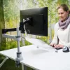 R-Go Tools R-Go Morelia dokumentų laikiklis, modulis su Caparo ir Zepher monitoriaus ranka