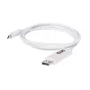 CLUB3D USB 3.1 Type C į DisplayPort 1.2 UHD adapteris CAC-1517