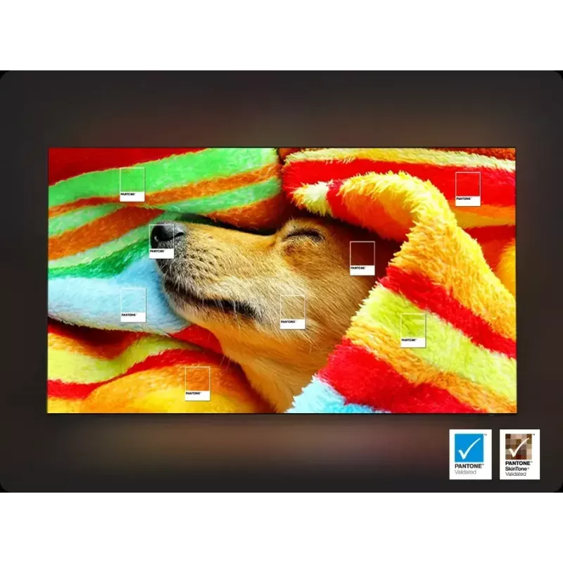 Televizorius Samsung 65 colių Neo QLED QN85F 4K UHD
