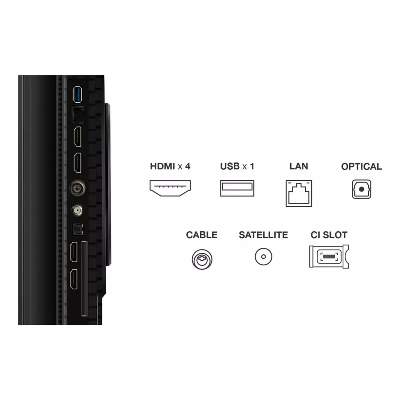 Televizorius TCL P8K 65 colių 4K QLED 3840 x 2160