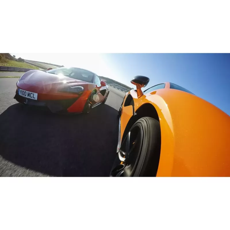 GoPro AUCMT-302 siurbtuvinis laikiklis kamerai