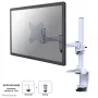 Neomounts FPMA-D1330WHITE monitorinis laikiklis 10-30 colių