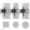 Neomounts TV laikiklis ant stulpo WL30S-910BL16 50 kg 40-75 col.