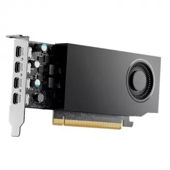 Dell NVIDIA RTX A1000 8 GB GDDR6 128 bit vaizdo plokštė