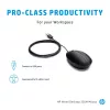 Pelė HP 9VA80AA Black USB