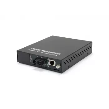 Konverteris LevelOne GVM-1101 valdomas gigabitinis RJ45 į SC daugiamodis šviesolaidis