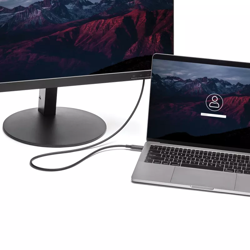 StarTech.com 1 m USB-C į Mini DisplayPort laidas - 4K 60Hz - juodas