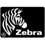 Zebra 105934-037 spausdinimo galvutė tiesioginiam terminiam spausdinimui