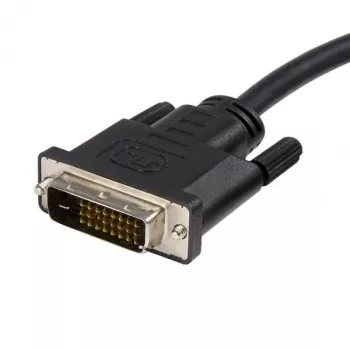 StarTech.com 3 m DisplayPort į DVI laidas - DP į DVI-D adapteris 1080p