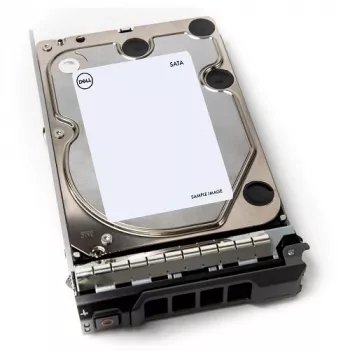 DELL 400-AEFB vidinis kietasis diskas 1 TB 7200 RPM 3,5 colio Serial ATA III