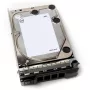 DELL 400-AEFB vidinis kietasis diskas 1 TB 7200 RPM 3,5 colio Serial ATA III