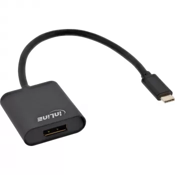 USB vaizdo keitiklis InLine 64102B USB-C (vyriškas) į DisplayPort 4K/60Hz