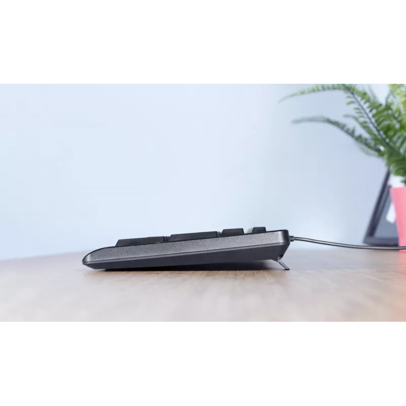 Trust TK-150 klaviatūra Office USB QWERTZ juoda