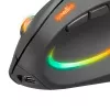 Pelė SPEEDLINK SL-630026-BK RF belaidė optinė vertikali