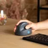 R-Go Tools vertikali pelė R-Go HE Basic, ergonomiška, vidutinė (rankos dydis ≥ 185 mm), dešinei rankai, Bluetooth, pilka
