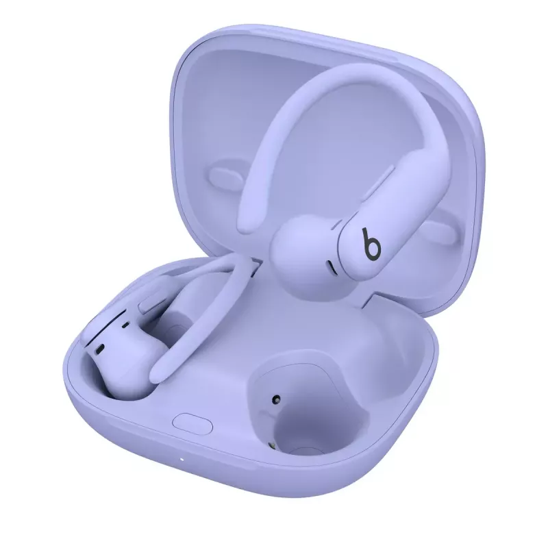 Ausinės Beats by Dr. Dre Powerbeats Pro 2