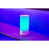 Stalinė lempa Razer Aether RZ43-04070100-RGWB RGB reguliuojamas ryškumas