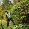 Belaidis stiebinis gyvatvorių žirklių pjūklas DeWALT DCMPH566N-XJ