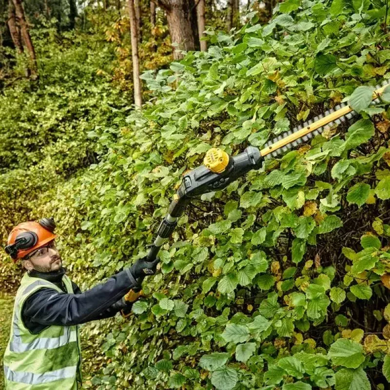 Belaidis stiebinis gyvatvorių žirklių pjūklas DeWALT DCMPH566N-XJ