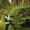 Belaidis stiebinis gyvatvorių žirklių pjūklas DeWALT DCMPH566N-XJ