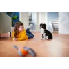 Philips PowerPro Expert FC9744/09 dulkių siurblys 2 L Cikloninis sausas 900 W Be maišelio