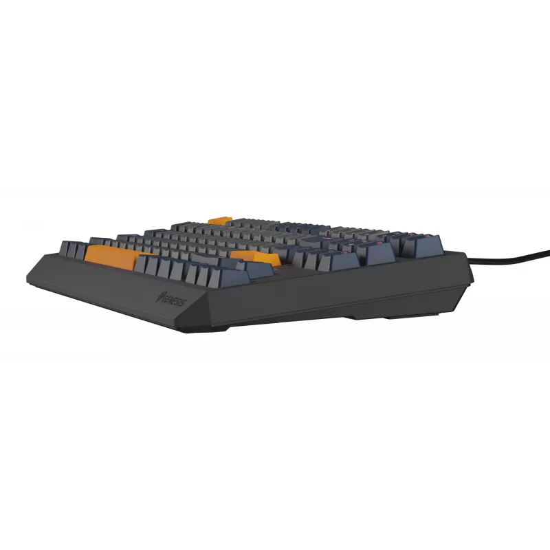 GENESIS Thor 230 TKL klaviatūra žaidimams USB QWERTY angliška mėlyna