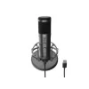 GENESIS Radium 600 G2 Juodas stalinis mikrofonas