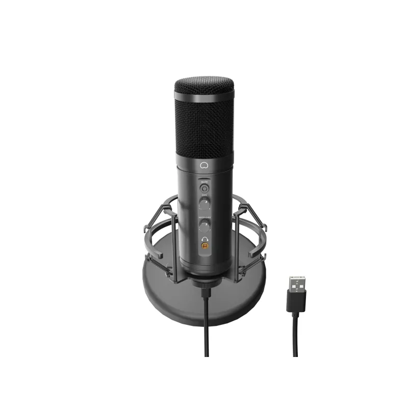 GENESIS Radium 600 G2 Juodas stalinis mikrofonas
