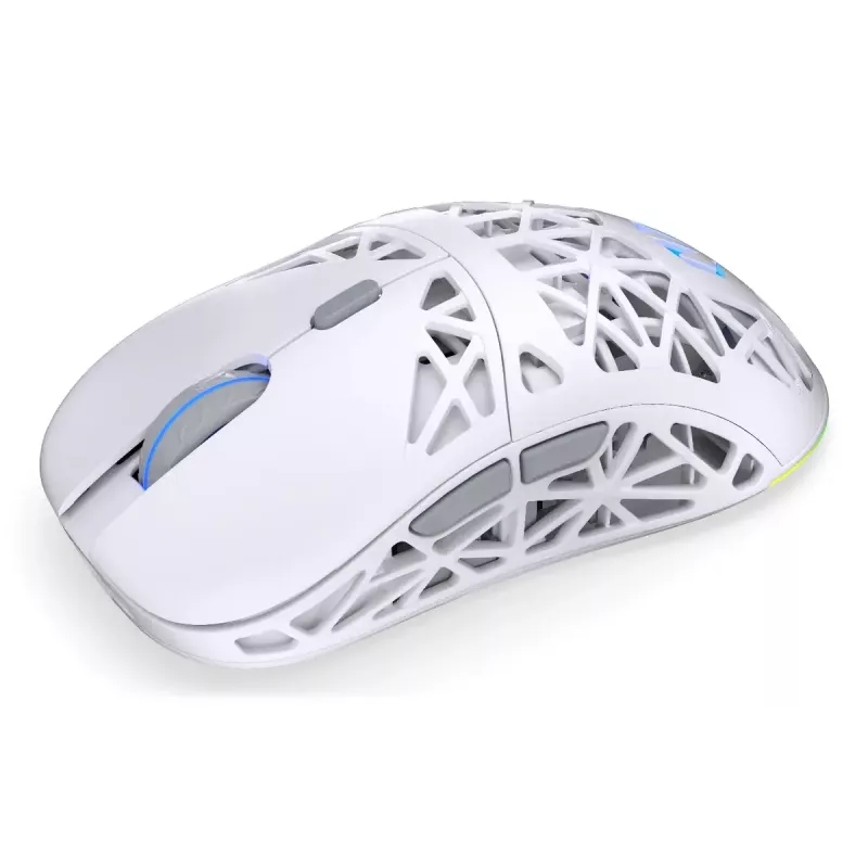 ENDORFY LIV Wireless EY6A019 bevielė žaidėjų pelė, Onyx White