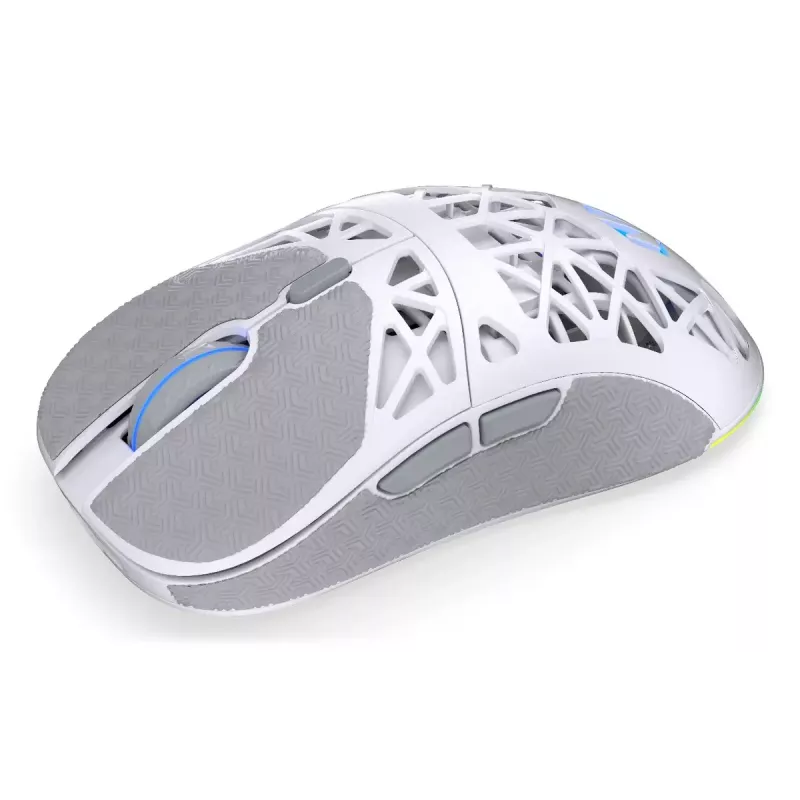 ENDORFY LIV Wireless EY6A019 bevielė žaidėjų pelė, Onyx White