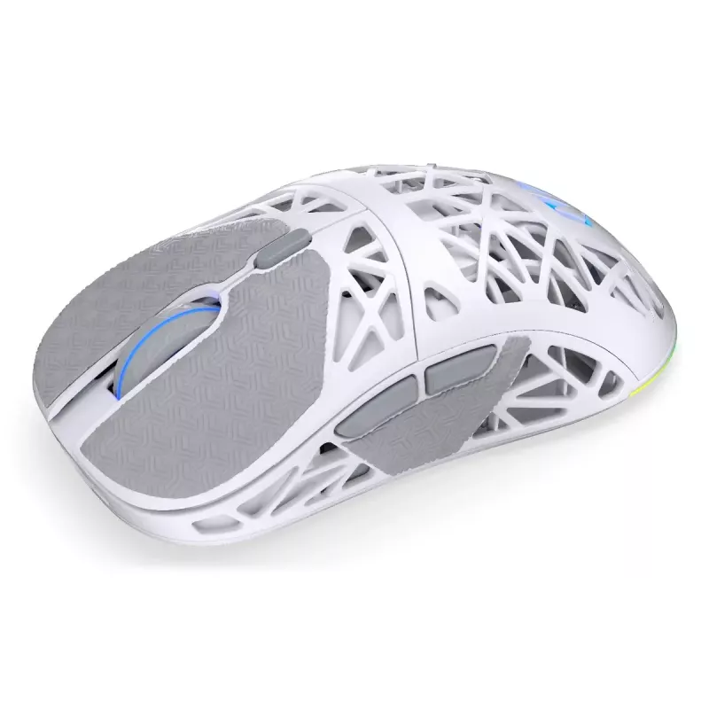 ENDORFY LIV Wireless EY6A019 bevielė žaidėjų pelė, Onyx White