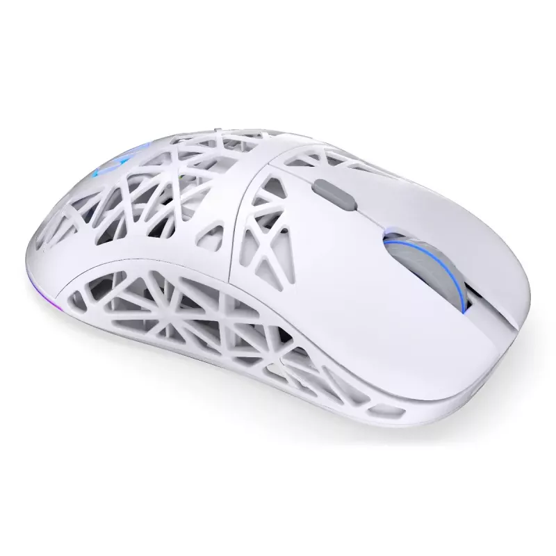 ENDORFY LIV Wireless EY6A019 bevielė žaidėjų pelė, Onyx White