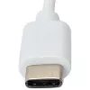 Techly IADAP USB31-ETGIGA USB 3.1 Type-C į Gigabit Ethernet adapteris