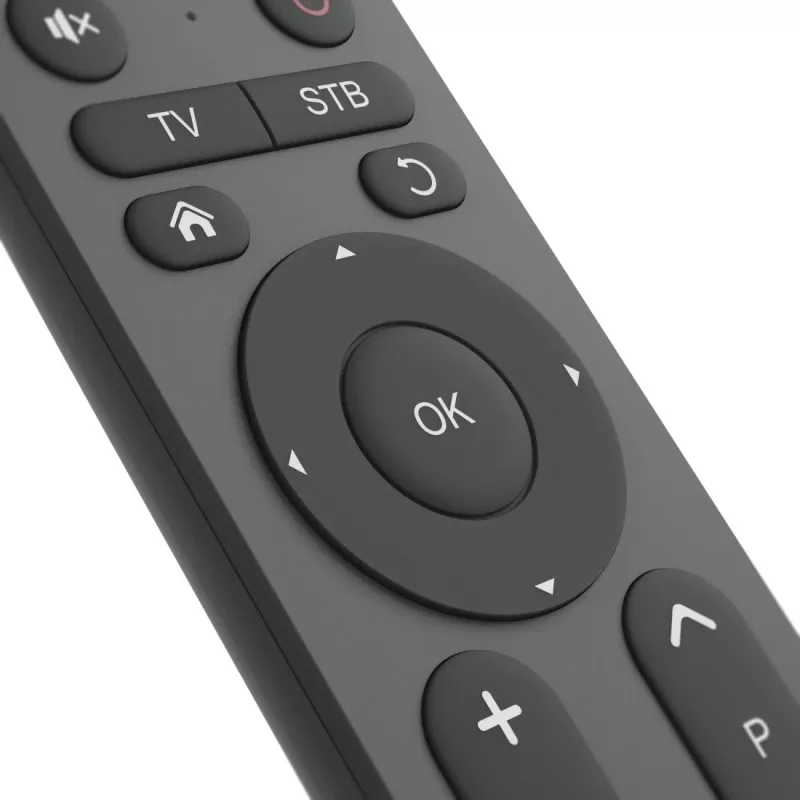 Universalus nuotolinio valdymo pultas Hama 00221056 IR belaidis TV 31 mygtukas 10 m