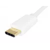 Equip USB Type C į garso adapterį
