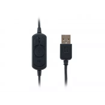 Ausinės Equip USB Headset 245305